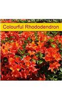 Colourful Rhododendron 2018