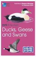 RSPB ID Spotlight - Ducks, Geese and Swans