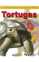 Tortugas: Por Dentro Y Por Fuera (Turtles: Inside and Out)