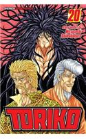 Toriko, Vol. 20: Ichiryu and Midora!!