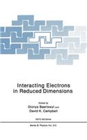 Interacting Electrons in Reduced Dimensions