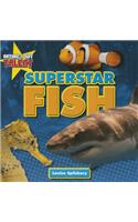 Superstar Fish