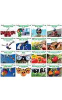 Spanish Sight Word Readers Science Single Copy Boxed Set