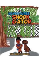 The Adventures of Snook and Gator
