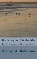 Raising a Little Me: In a Purpose Driven Life