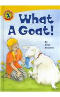 What a Goat!