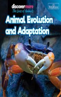 Animal Evolution and Adaptation