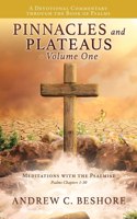 Pinnacles and Plateaus - Volume One