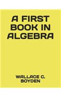 A First Book in Algebra