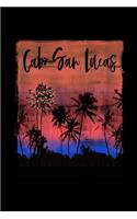Cabo: Mexican Feliz Navidad Christmas Journal Notebook Shopping Organizer Holiday Food Meal Party Planner Budget Expense Tracker. Tropical Palm Tree Soft 