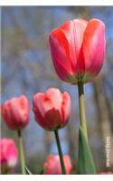Tulip Journal: Elegance and Grace