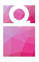 Q Initial Notebook