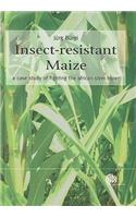 Insect-resistant Maize