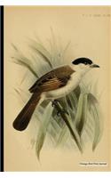 Vintage Bird Print Journal