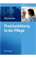 Praxisanleitung in Der Pflege