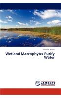 Wetland Macrophytes Purify Water