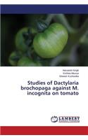 Studies of Dactylaria Brochopaga Against M. Incognita on Tomato