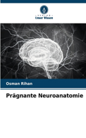 Prägnante Neuroanatomie