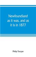 Newfoundland
