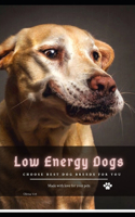 Low Energy Dogs