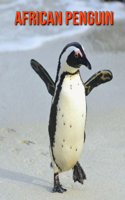 African Penguin