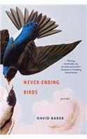 Never-Ending Birds