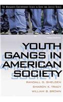 Youth Gangs in American Society