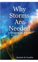 Why Storms Are Needed