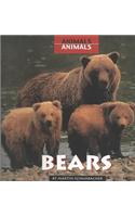 Bears