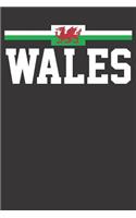 Notebook: Wales Shirt Dragon Flag Welsh Africa Dot Grid 6x9 120 Pages