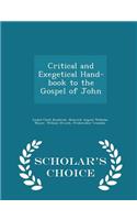 Critical and Exegetical Hand-Book to the Gospel of John - Scholar's Choice Edition