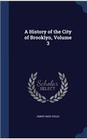 A History of the City of Brooklyn, Volume 3