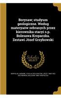 Borysaw; studyum geologiczne. Wedug materyaów zebranych przez kierownika stacyi s.p. Bolesawa Kropaczka. Zestawi Józef Grzybowski