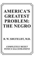 America's Greatest Problem: The Negro