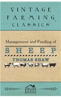 Management and Feeding of Sheep