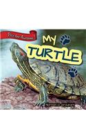 My Turtle
