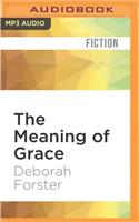 Meaning of Grace