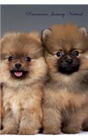 Pomeranian January Notebook Pomeranian Record, Log, Diary, Special Memories, To Do List, Academic Notepad, Scrapbook & More