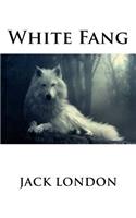 White Fang