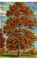 Journal Autumn Tree Fall Foliage Painting