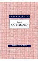 Understanding Juan Goytisolo: (European Literature S.)