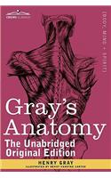 Gray's Anatomy