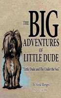 BIG Adventures of Little Dude