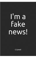 I'm a fake news!