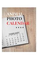 Animal Photo Calendar 2020: ANIMAL PHOTOGRAPH CALENDAR: animal calendar 202 animal desk calendar 202, animal photo album, animal photo wall art, animal photograph, animal photo