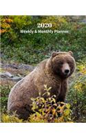 2020 Weekly and Monthly Planner: Grizzly Bear - Monthly Calendar with U.S./UK/ Canadian/Christian/Jewish/Muslim Holidays- Calendar in Review/Notes 8 x 10 in.-Wildlife Nature Bear