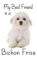 My best Friend is a Bichon Frise