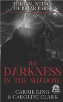 The Darkness in the Shadow: (4 The House in Briar Park)