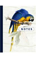 Notes: Composition Notebook - Large Blank Wide Ruled Writing and Journaling Book - Vintage Parrot Bird Illustration