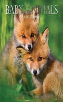 BABY ANIMALS 2020